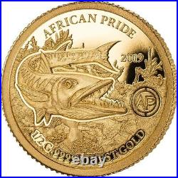 2019 African Pride 13 Nation 13 Gold Proof Coin Coins Collection Wild Nature