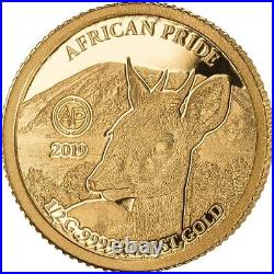 2019 African Pride 13 Nation 13 Gold Proof Coin Coins Collection Wild Nature