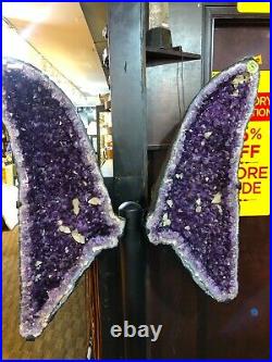 Amethyst Wings Crystals Quartz Mineral Geode Pirate Gold Coins Earth Treasure