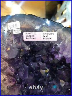 Amethyst Wings Crystals Quartz Mineral Geode Pirate Gold Coins Earth Treasure