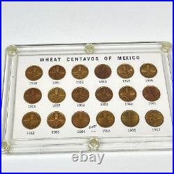 Centavo Collection Mexico Wheat Coins 1950 To 1967 Brass Mexico City Lorenzo Raf