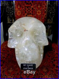 Crystal Skull 67lbs Quartz 1.5 Ft Pirate Gold Coins Treasures Of Earth Jewelry