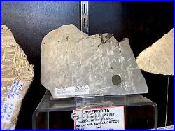 Iron Meteor Slice Meteorite Pirate Gold Coins Treasures Of Space Octahedrite