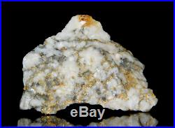 Large Native Gold Crystalline Specimen Homestake Mine Nugget dredge sluice coin