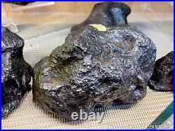 Meteorite Campo Del Cielo Wall Display Decor Pirate Gold Coins Meteor Space