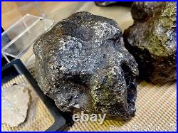 Meteorite Campo Del Cielo Wall Display Decor Pirate Gold Coins Meteor Space