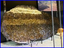 Meteorite Pallasite Wall Display Decor Pirate Gold Coins Meteor Space