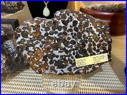 Meteorite Pallasite Wall Display Decor Pirate Gold Coins Meteor Space Kenya