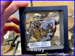 Meteorite Seymchan Pallasite Wall Display Decor Pirate Gold Coins Meteor Space