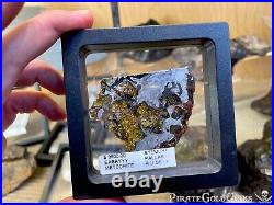 Meteorite Seymchan Pallasite Wall Display Decor Pirate Gold Coins Meteor Space