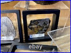 Meteorite Seymchan Pallasite Wall Display Decor Pirate Gold Coins Meteor Space