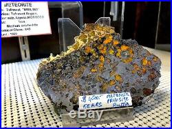 Meteorite Slice Pallasite Pirate Gold Coins Treasures Of Space Meteor Artifact