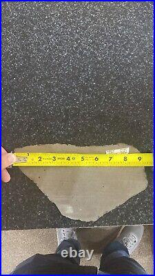 Meteorite Slice Wall Display Home Decor Pirate Gold Coins Meteor Space