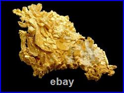 Native Gold Crystalline Specimen Round Mountain Mine Nevada / Nugget coin Bar