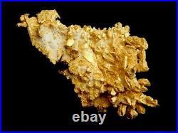 Native Gold Crystalline Specimen Round Mountain Mine Nevada / Nugget coin Bar