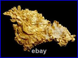 Native Gold Crystalline Specimen Round Mountain Mine Nevada / Nugget coin Bar