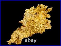 Native Gold Crystalline Specimen Round Mountain Mine Nevada / Nugget coin Bar