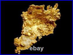 Native Gold Crystalline Specimen Round Mountain Mine Nevada / Nugget coin Bar