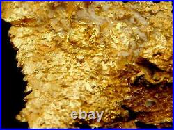 Native Gold Crystalline Specimen Round Mountain Mine Nevada / Nugget coin Bar