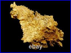 Native Gold Crystalline Specimen Round Mountain Mine Nevada / Nugget coin Bar