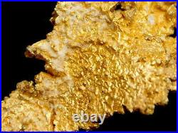 Native Gold Crystalline Specimen Round Mountain Mine Nevada / Nugget coin Bar