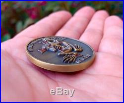 Navy Seal Team 6 DEVGRU NSW Gold Indian Skull Tribe Bone Frog Challenge Coin CPO