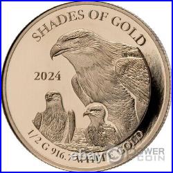 SHADES OF GOLD Eagle 3 Gold Coins Set 10$ Solomon Islands 2024