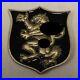 Special Warfare SEAL Team 6 / DEVGRU Gold Assault Squadron Navy Challenge Coin