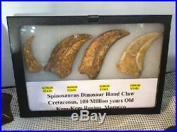 Spinosaurus Dinosaur Hand Claws (4) Fossil Pirate Gold Coins Jurassic Treasures