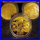 Super Bowl Patriots Collection Of 3 Gold Flip Coins Limited Edition